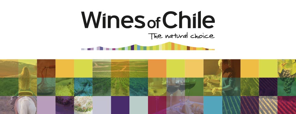 wines of chile